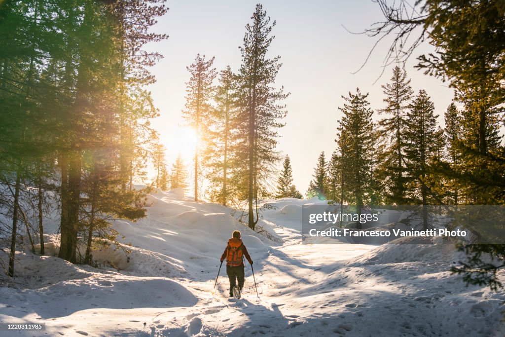 Snowshoeing in the forest, Italy.