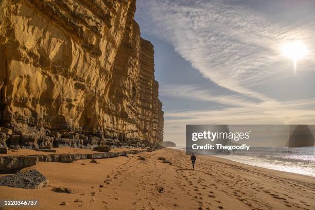 boy walking on the beach, the jurassic coast, england, uk - jurassic coast world heritage site 個照片及圖片檔