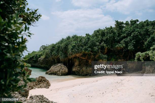 family on secluded tropical beach, miyako island, okinawa, japan - okinawa blue sky beach landscape stock-fotos und bilder