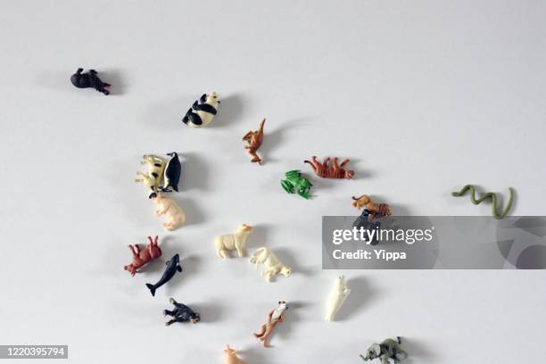 animal toys - toy animal stockfoto's en -beelden