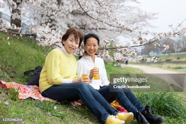 mor och dotter njuter picknick under körsbärsblomträd - hanami bildbanksfoton och bilder