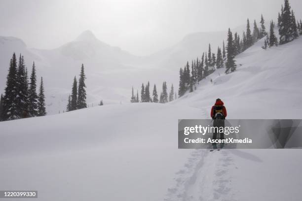 jovem mulher sertanejo esquia através da montanha - marca de esqui - fotografias e filmes do acervo