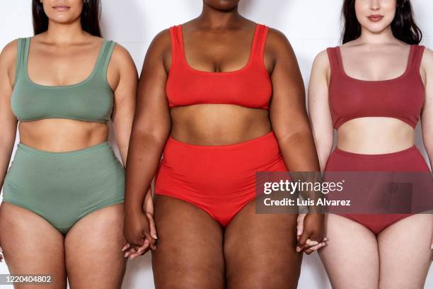 plus size women in lingerie standing together holding hands - woman body imagens e fotografias de stock