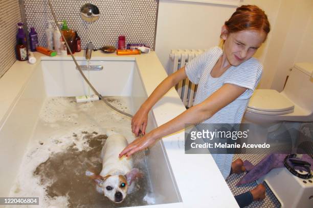Little girl in a bathroom washing her dog in a bathtub. She's getting splashed with water so she's turning her face away from the dog and making a squished up face.