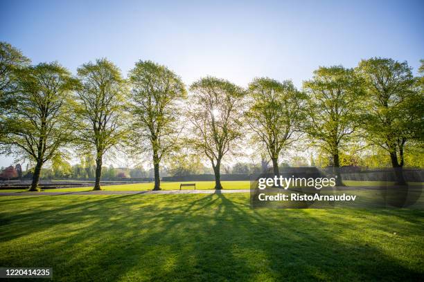 green park frischer sonnenaufgang morgen - hyde park london stock-fotos und bilder
