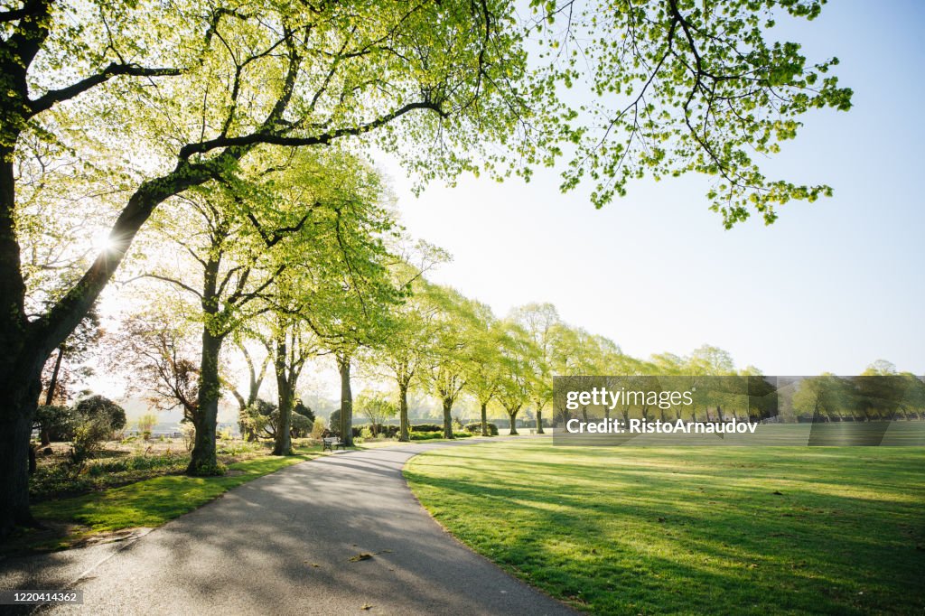 UK Park bei Sonnenaufgang