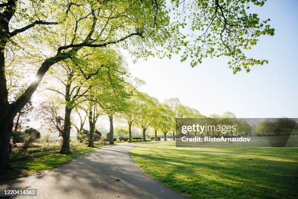 uk park bei sonnenaufgang - park stock-fotos und bilder