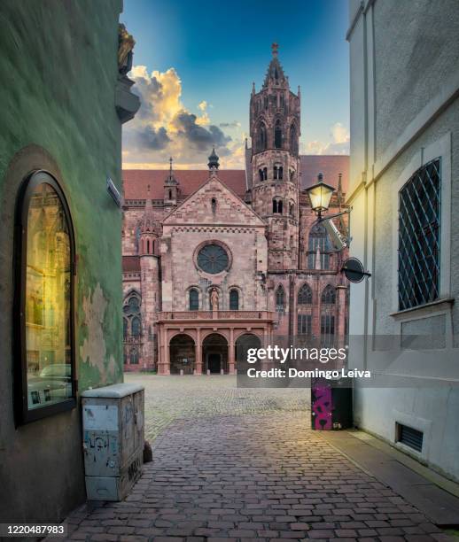 the cathedral of freiburg im breisgau, germany - freiburg im breisgau stock pictures, royalty-free photos & images