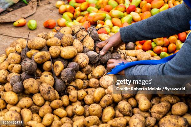 potatoes on sale at bati market, ethiopia, africa - ethiopian food stock pictures, royalty-free photos & images