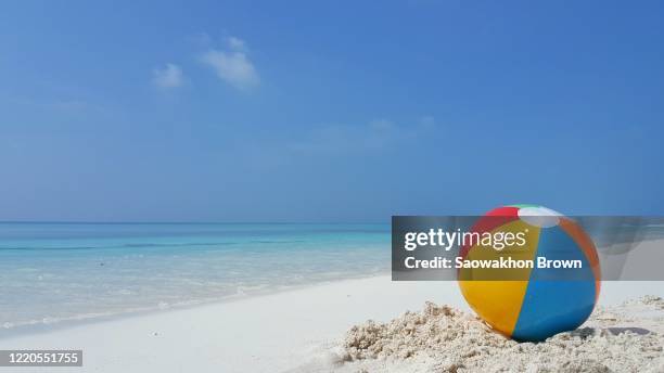 beach ball standing over wet white sand of a tropical background with blue sea, copy space - ゴムボール ストックフォトと画像