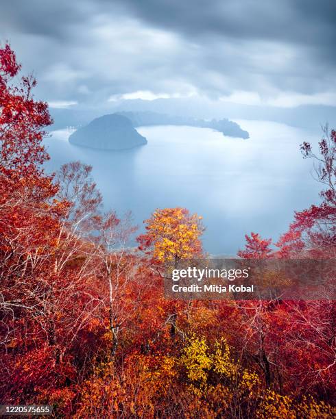 lake towada in autumn - prefeitura de aomori imagens e fotografias de stock