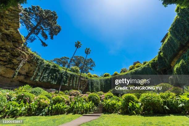 umpherston sinkhole - slukhål bildbanksfoton och bilder