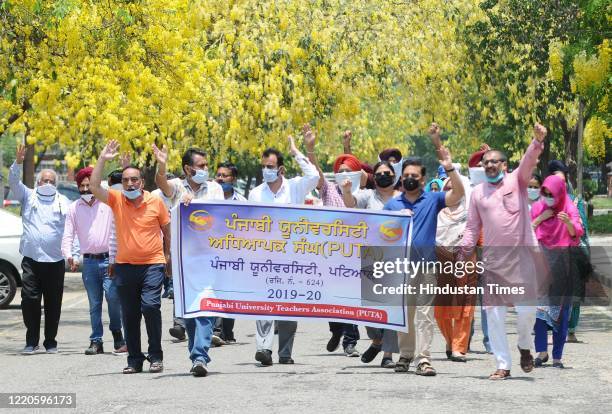 Members of Punjabi University Teachers association shout slogans during a protest against VC BS Ghuman and Punjab Government at Punjabi university...