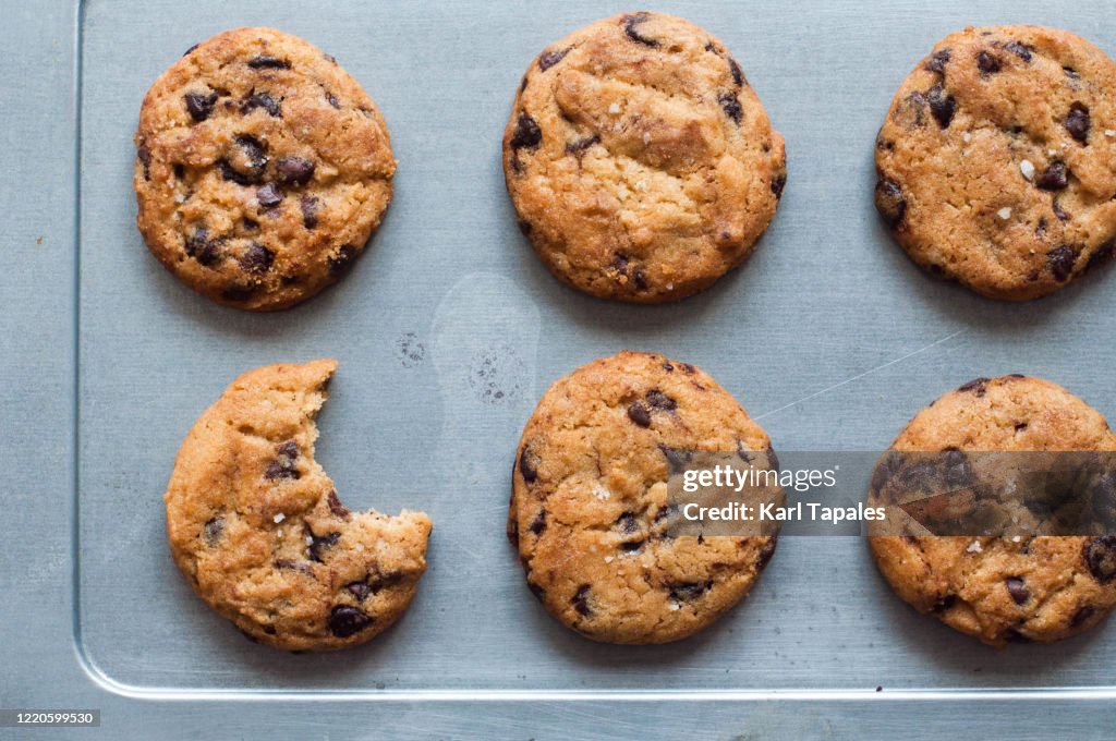 A bunch of freshly baked chocolate chip cookies on a baking sheet