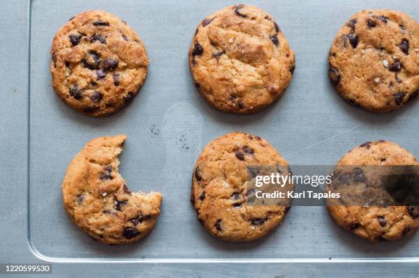 a bunch of freshly baked chocolate chip cookies on a baking sheet - baking tray stock pictures, royalty-free photos & images