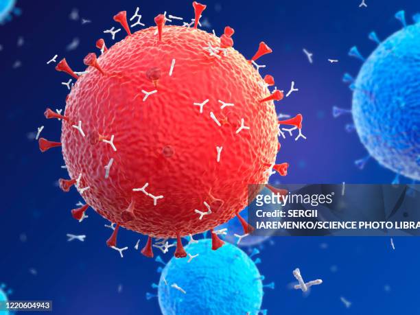 antibodies responding to coronavirus particles, illustration - immunology stock illustrations