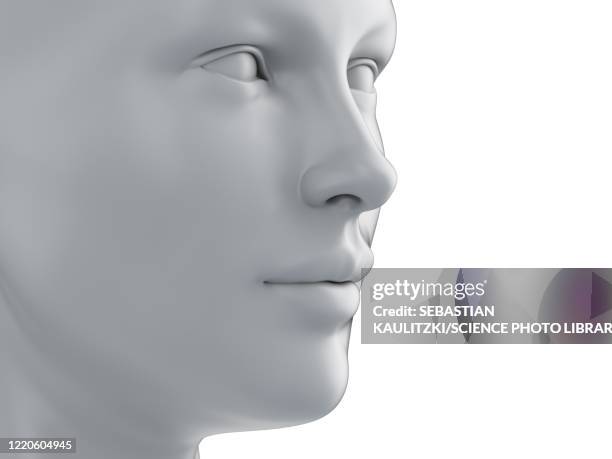 female face, illustration - human head stock illustrations