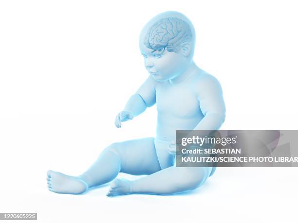 Brain Development In Infancy Infant Brain Development Photos and Premium High Res Pictures - Getty ...