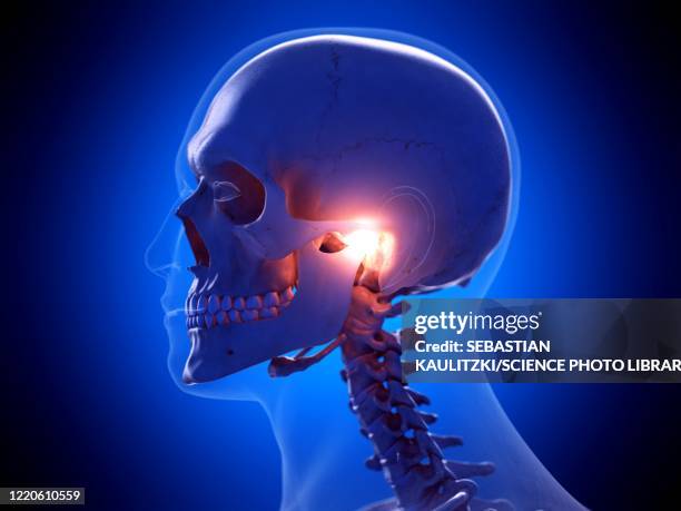painful temporomandibular joint, illustration - medical condition stock illustrations