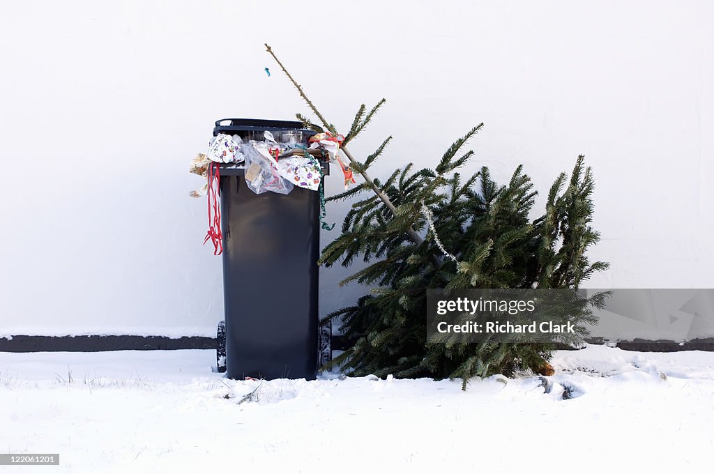 Bin full of Christmas waste and tree