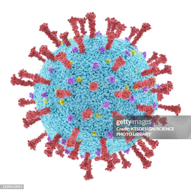ilustraciones, imágenes clip art, dibujos animados e iconos de stock de covid-19 coronavirus particle, illustration - virology