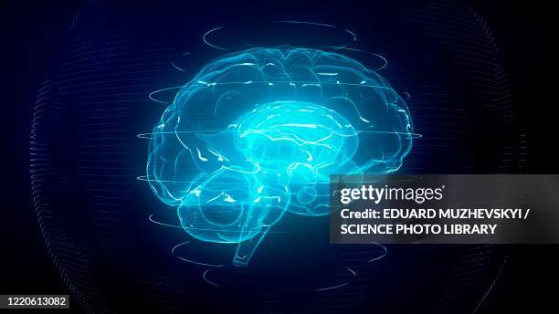 brain scan, conceptual illustration - transhumanism stock illustrations