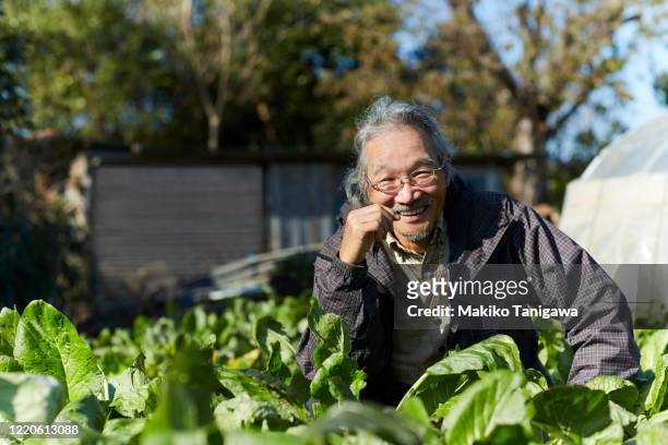 Portrait of Japanese senior farmer on his farm