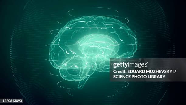 Transhuman Brain 133 Transhumanism Stock Photos, High-Res Pictures, and Images - Getty ...