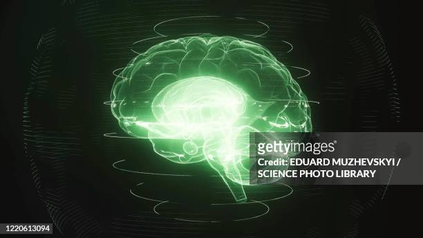 illustrazioni stock, clip art, cartoni animati e icone di tendenza di brain scan, conceptual illustration - deep learning