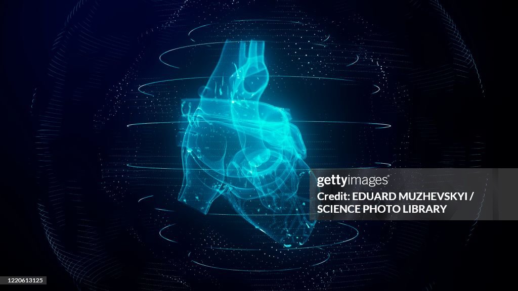Heart scan, conceptual illustration
