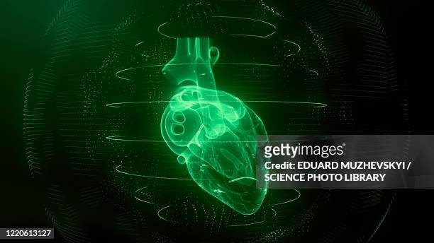 heart scan, conceptual illustration - human heart stock illustrations
