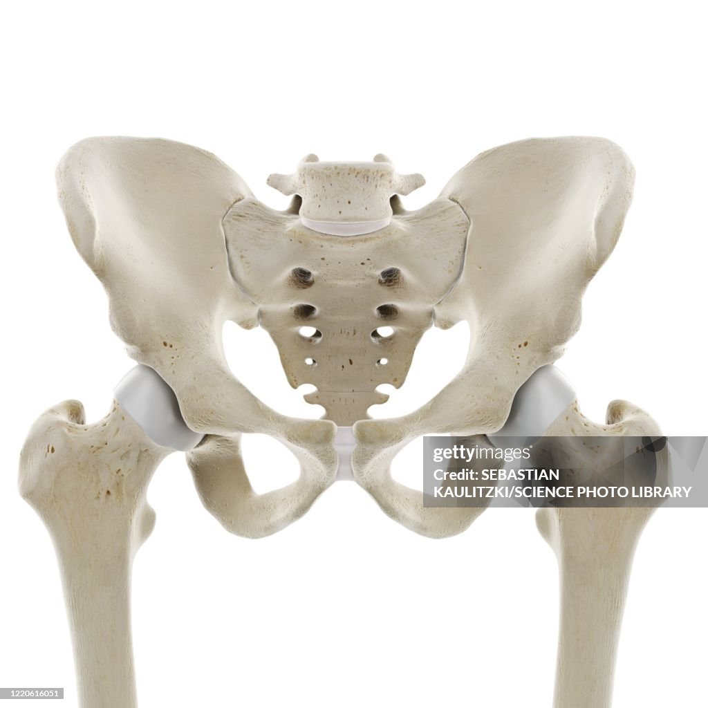 Hip Illustration High-Res Vector Graphic - Getty Images