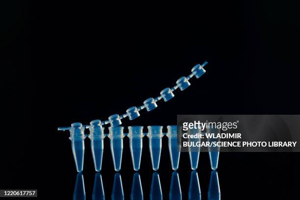 pcr test for covid-19 infection, conceptual image - eppendorf tube stock pictures, royalty-free photos & images