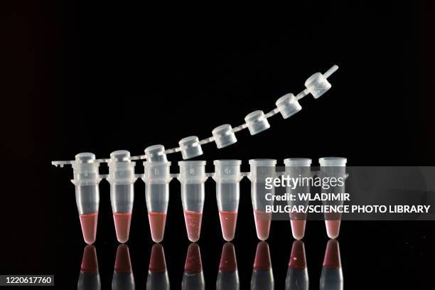 pcr test for covid-19 infection, conceptual image - eppendorf tube stock pictures, royalty-free photos & images