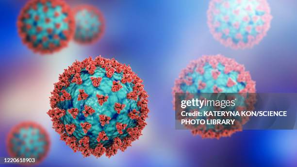 covid-19 coronavirus particles, illustration - membrane stock illustrations