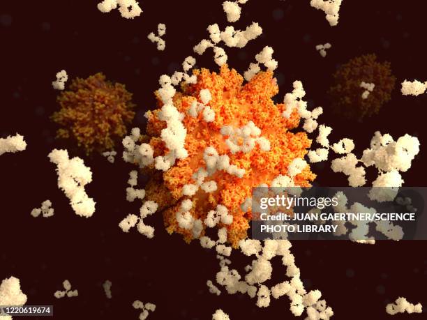 antibodies responding to covid-19 coronavirus, illustration - antigen stock illustrations