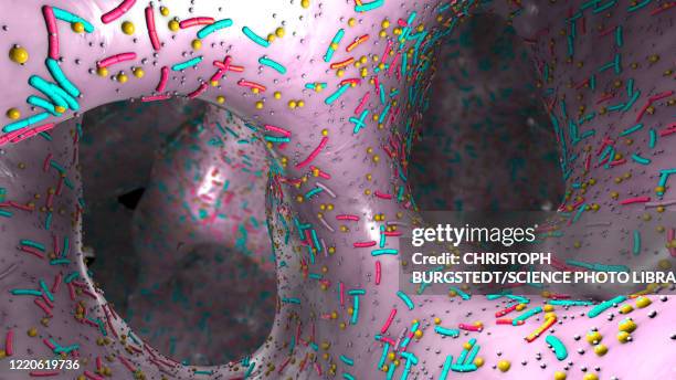 human digestive system microbiota, illustration - goblet cell stock illustrations