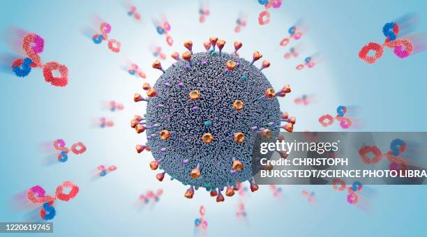 antibodies attacking virus, illustration - covid response stock illustrations