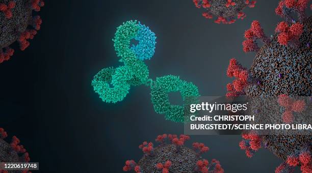antibodies attacking virus, illustration - antibody stock illustrations
