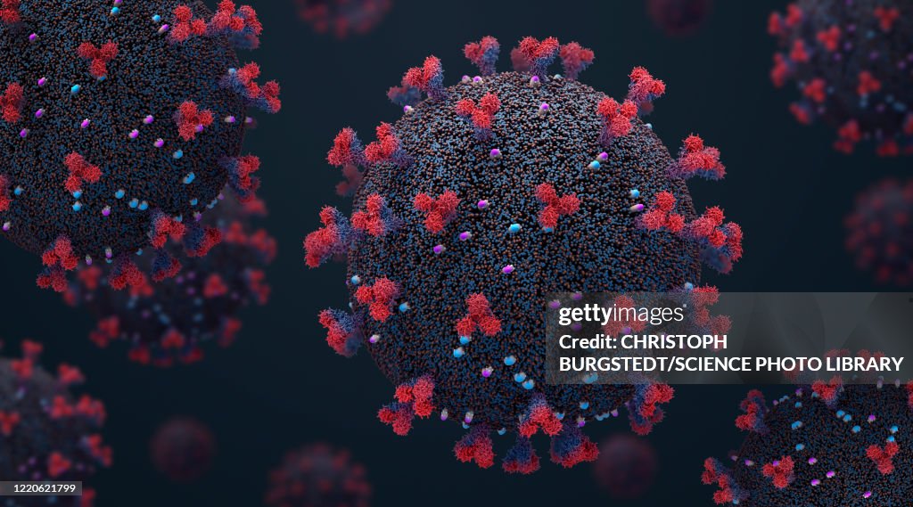 Sars Virus Illustration High-Res Vector Graphic - Getty Images