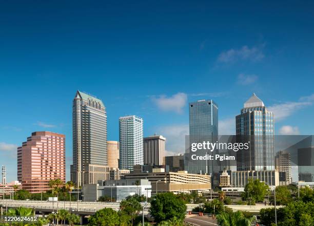 tampa florida usa downtown city skyline in the morning - tampa day stock pictures, royalty-free photos & images