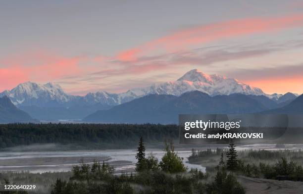 denali dawn, alaska - denali stock pictures, royalty-free photos & images