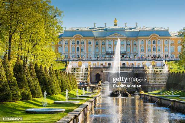 golden fountains of peter's palace, saint petersburg, russia - pushkin são petersburgo imagens e fotografias de stock