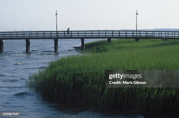 saltwater tidal marsh grass, new castle, de - delaware bildbanksfoton och bilder