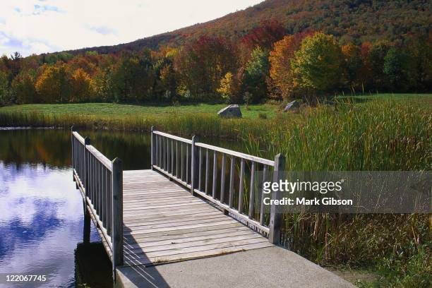 pond with dock, morrisville, vt - morrisville vt stock pictures, royalty-free photos & images
