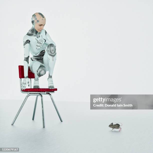 Scared Computer Mouse 73 Woman Scared Mouse Stock Photos, High-Res Pictures, and Images ...