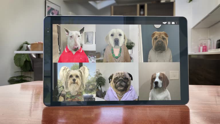 645 Dog Cartoon Videos and HD Footage - Getty Images 645 Dog Cartoon Videos and HD Footage - Getty Images