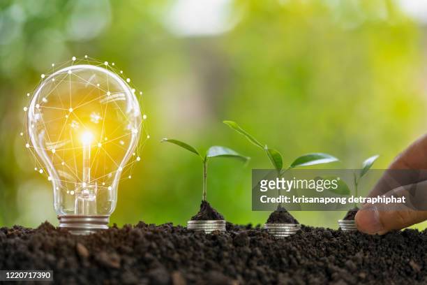light bulb and tree,growth concept - organisation environnement stockfoto's en -beelden
