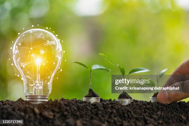 light bulb and tree,growth concept - loan process stock pictures, royalty-free photos & images