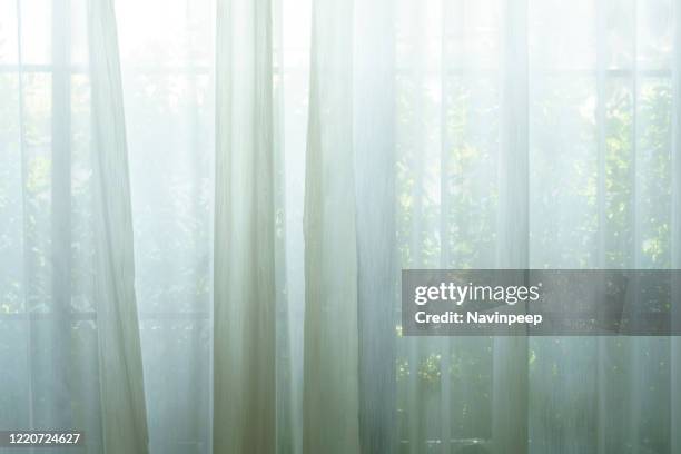 shear curtain and vegetation - sheer curtains in window stock pictures, royalty-free photos & images